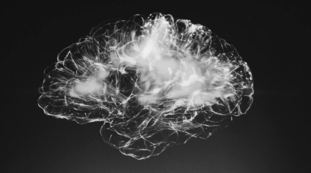 An MRI scan of a brain